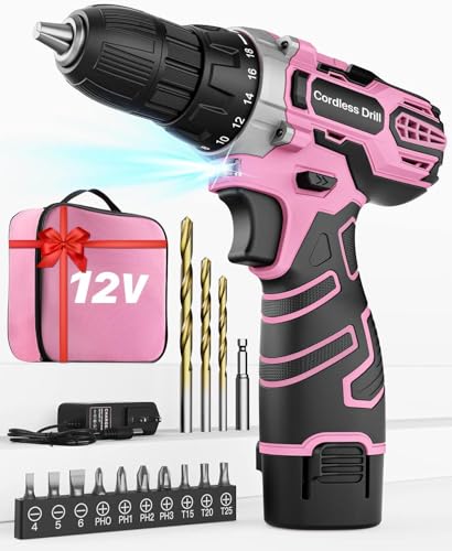 Akkuschrauber 12V in Pink Rosa, Akkubohrer Klein, Akku Bohrschrauber Set mit 15 Zubehör und Tasche, 18+1 Drehmomentstufen, 10mm Bohrfutter, 2-Gang, LED-Licht, Leicht und praktisch muttertagsgeschenk