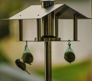Besorge deinen Vögeln ein einzigartiges Vogelhaus online